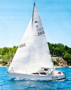 Read more about the article Gazelle 26