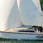 Adams 8