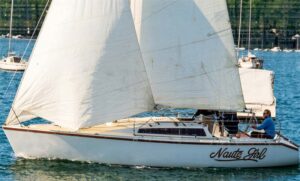Read more about the article Adams 8