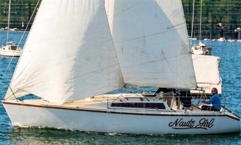 Adams 8