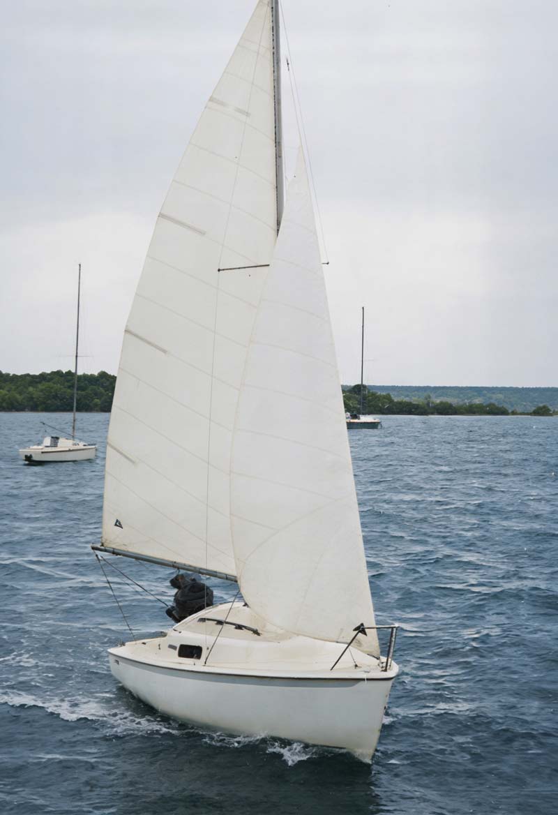 Read more about the article Nomad 19